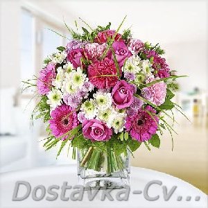 розы купить 101 бордовая 