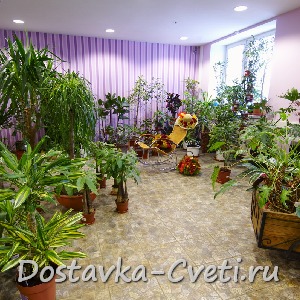 Dostavka-cveti.ru — доставка цветов по Москве | Оформление Магазина 